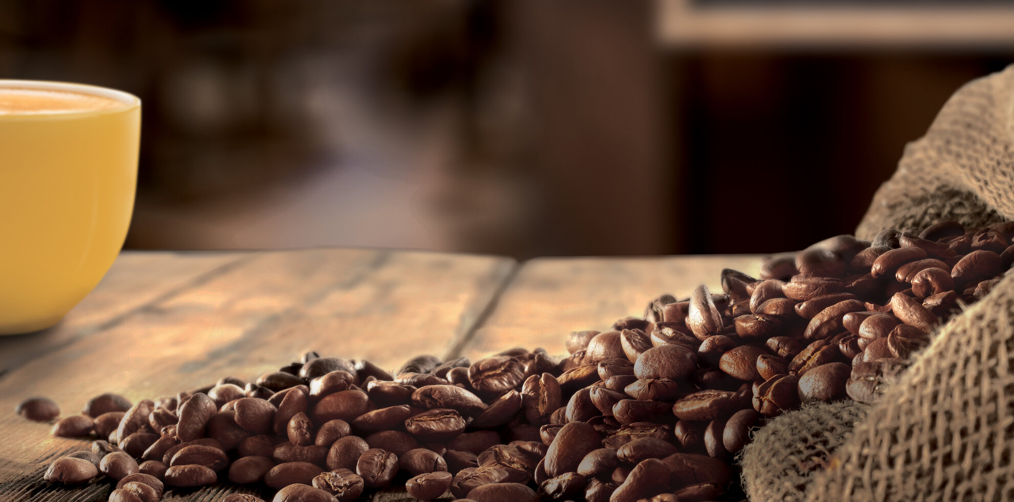 LITTLE TREES Café