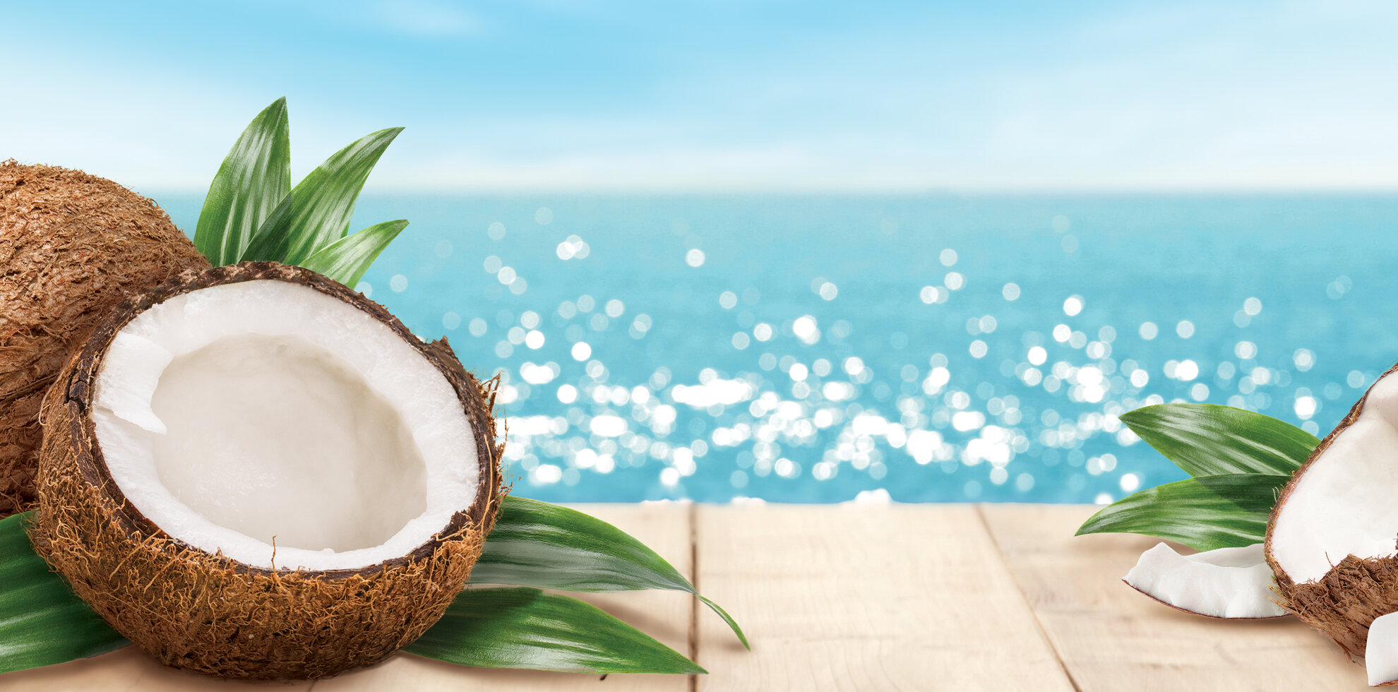 LITTLE TREES Coconut
