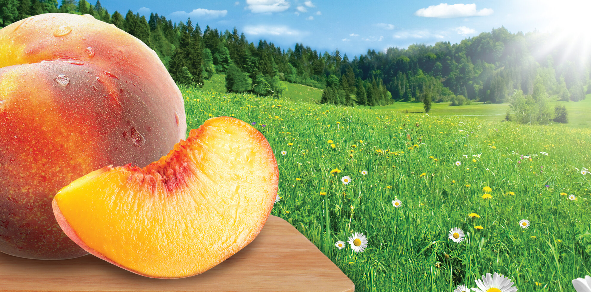 LITTLE TREES Peach