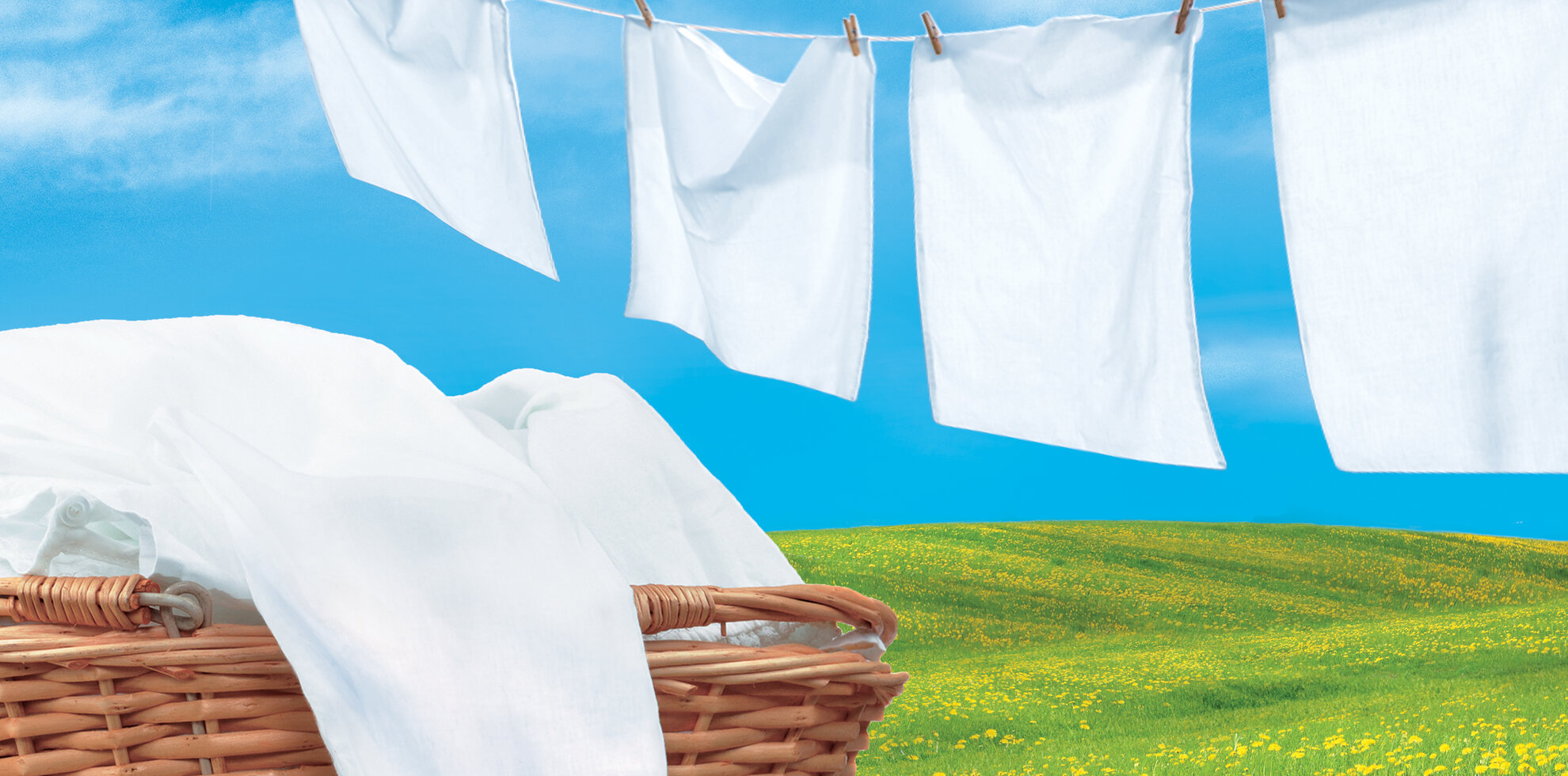 LITTLE TREES Summer Cotton