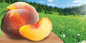 LITTLE TREES Peach