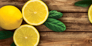 LITTLE TREES Lemon