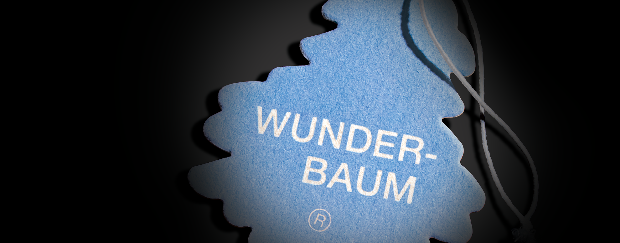 WUNDER-BAUM Summer Cotton TREE